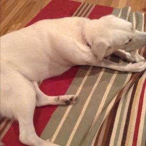 Meet your Posher, Anisha